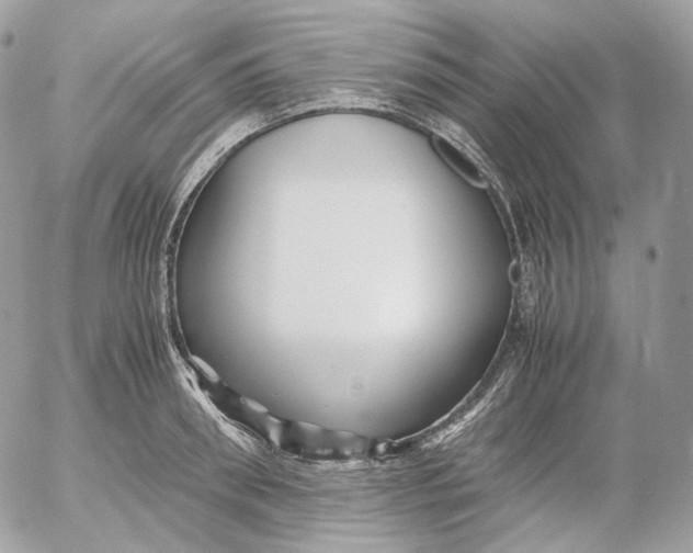 X0000052630898200507221747