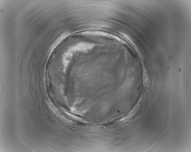 X0000052630899200507221747