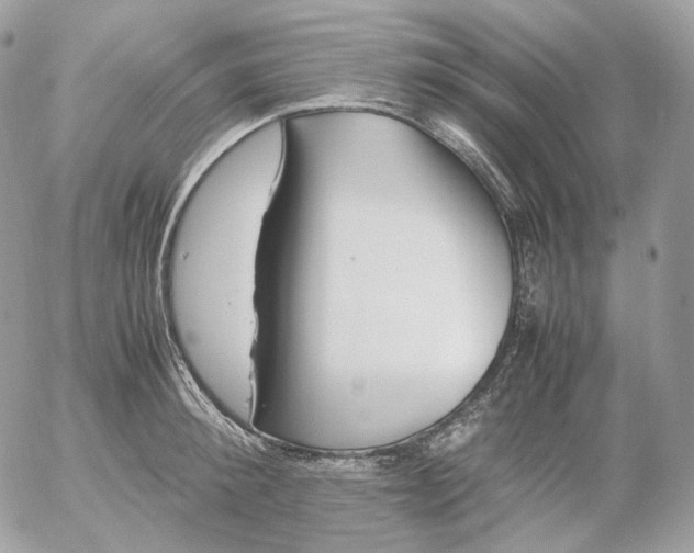 X0000052630900200507221747