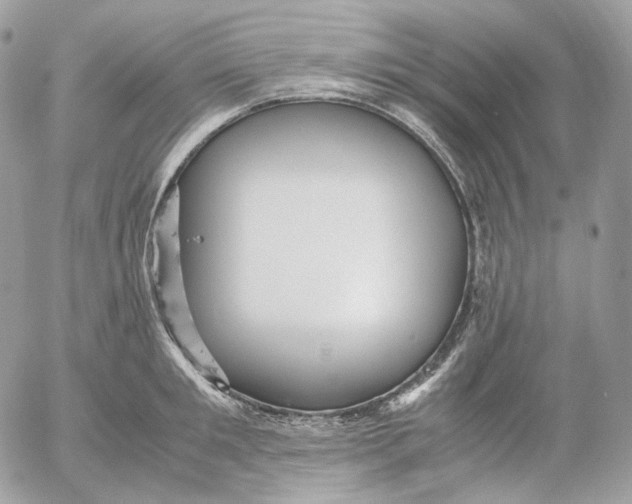 X0000052630901200507221747