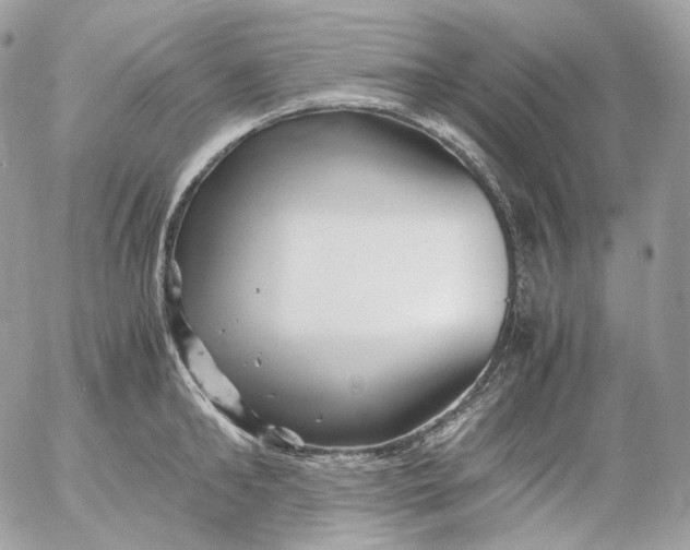 X0000052630902200507221747