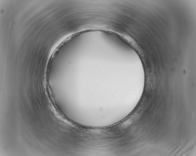 X0000052630904200507221747