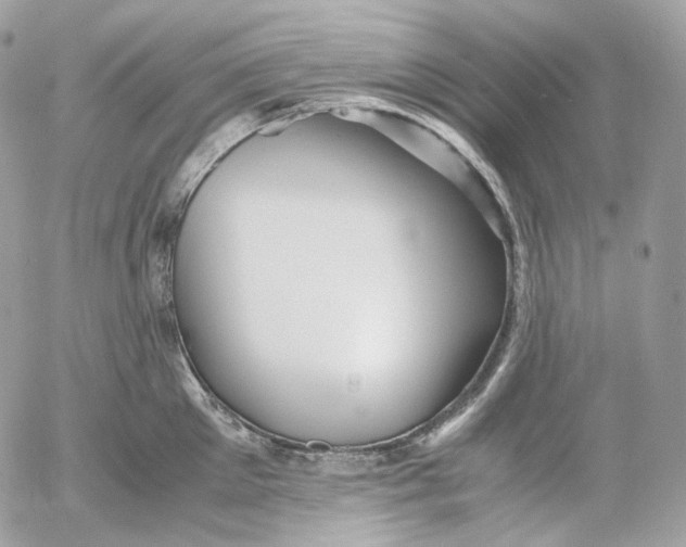 X0000052630905200507221747