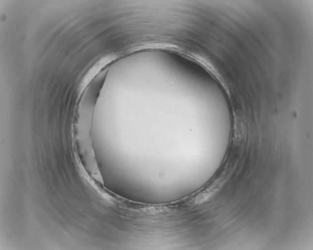 X0000052630906200507221747