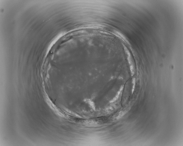 X0000052630907200507221747