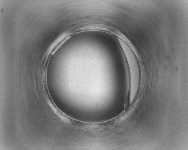 X0000052630909200507221747