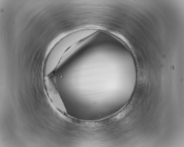 X0000052630910200507221747