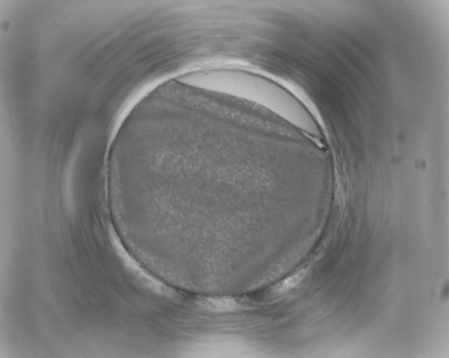 X0000052630911200507221747