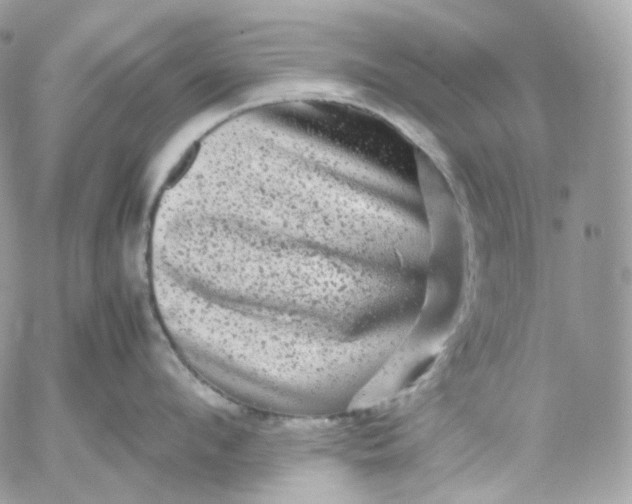 X0000052630912200507221747