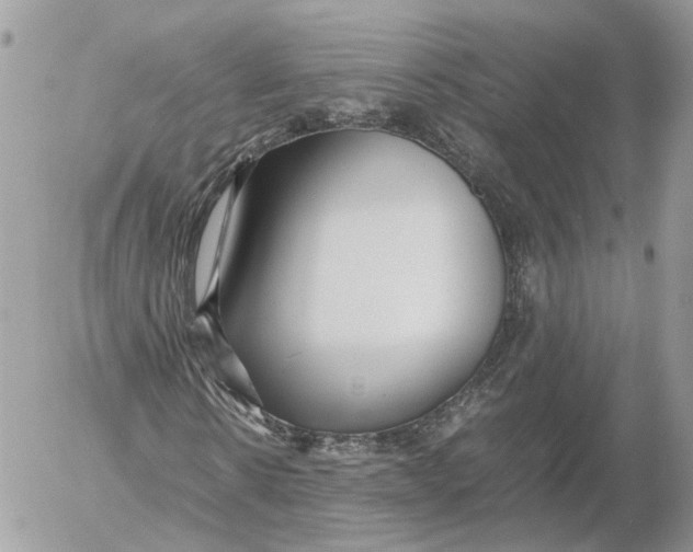 X0000052630914200507221746