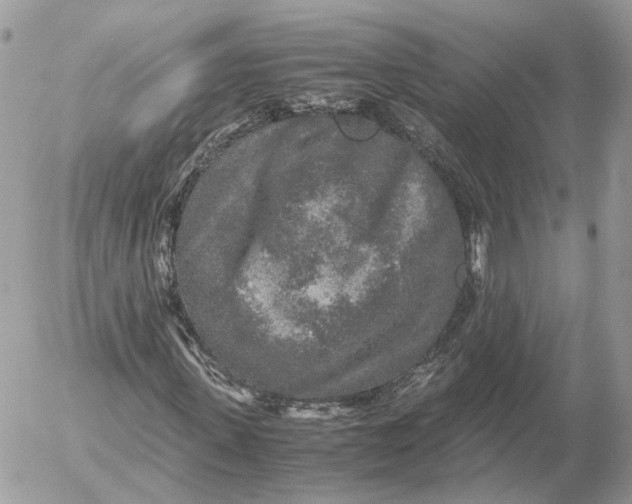 X0000052630915200507221746