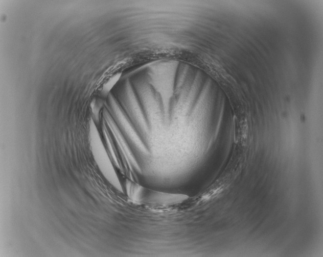 X0000052630916200507221746