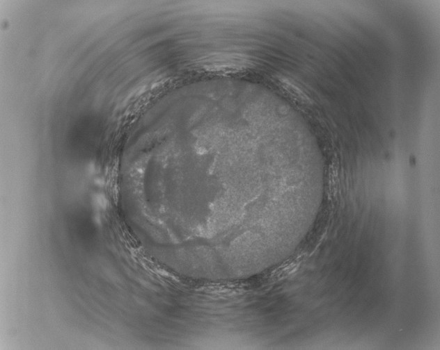 X0000052630917200507221746