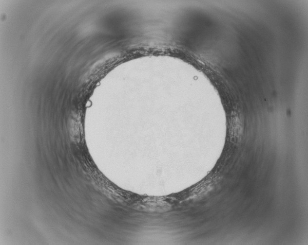 X0000052630918200507221746