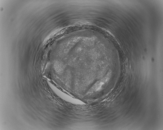 X0000052630919200507221746