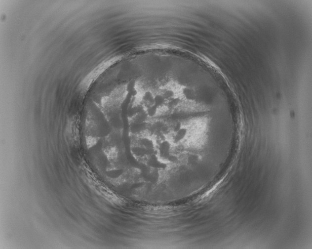 X0000052630921200507221746