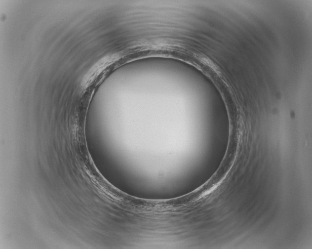 X0000052630922200507221746