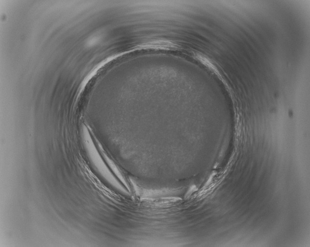 X0000052630923200507221746