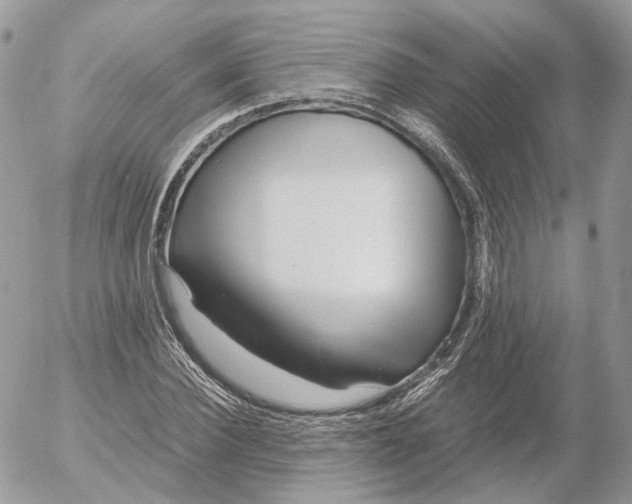 X0000052630924200507221746