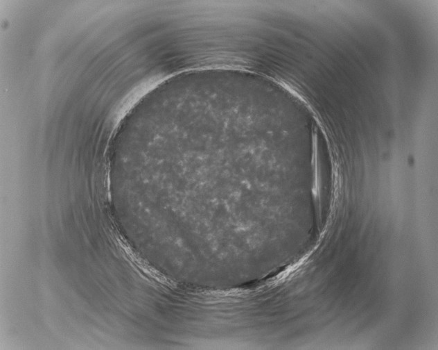 X0000052630925200507221746