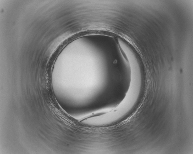 X0000052630926200507221746