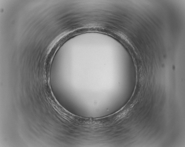 X0000052630927200507221746