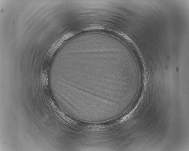 X0000052630929200507221746