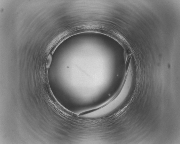 X0000052630930200507221746