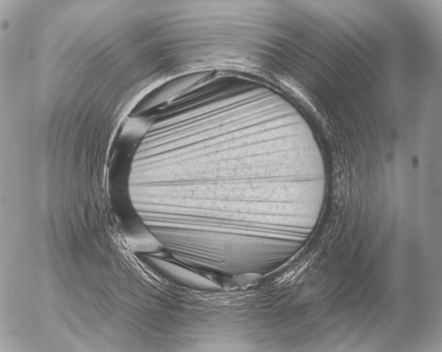 X0000052630932200507221746