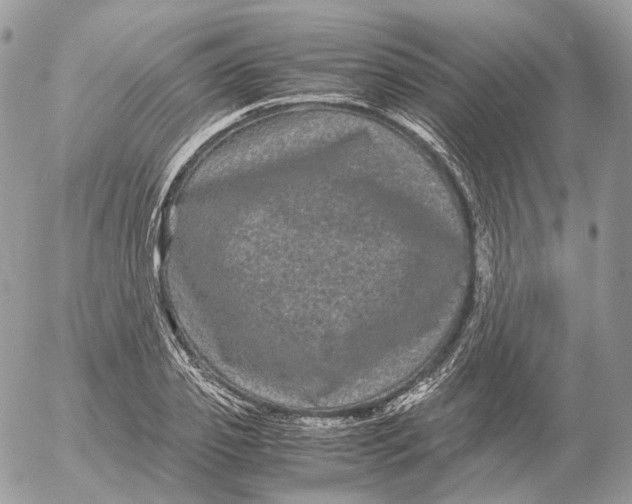 X0000052630933200507221746