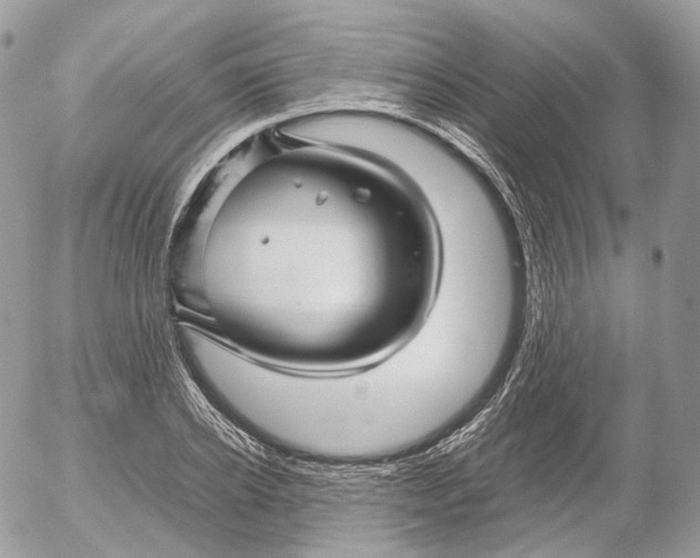 X0000052630934200507221746