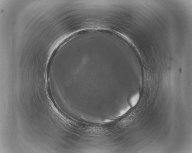 X0000052630935200507221746