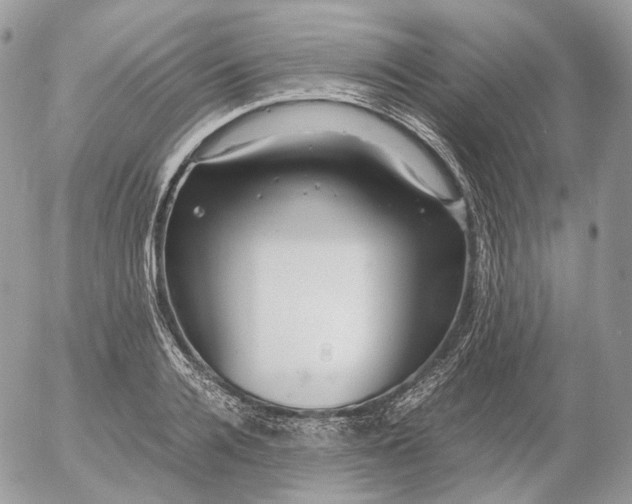 X0000052630936200507221746