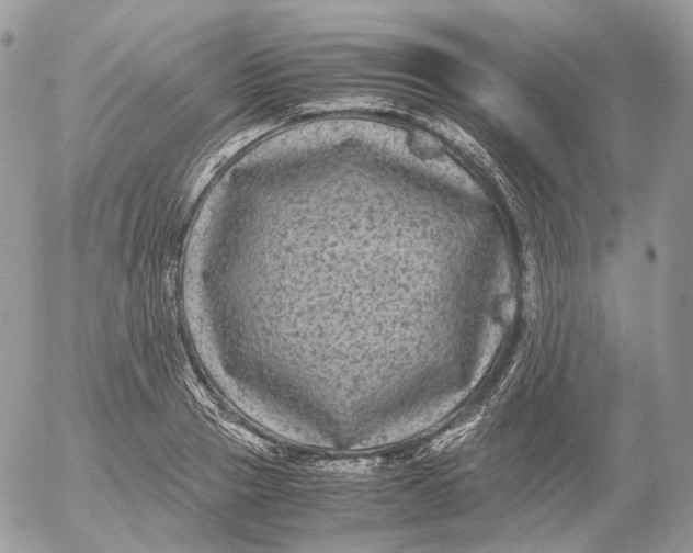 X0000052630937200507221746