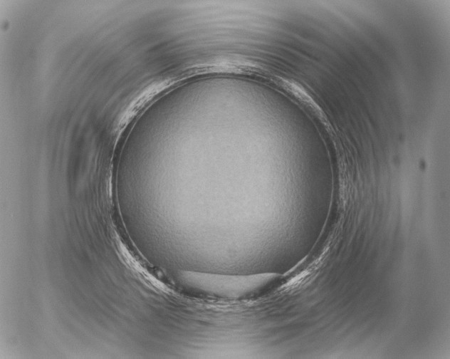 X0000052630938200507221746