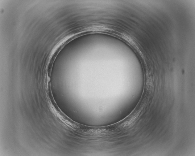 X0000052630939200507221746