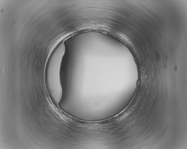 X0000052630940200507221746