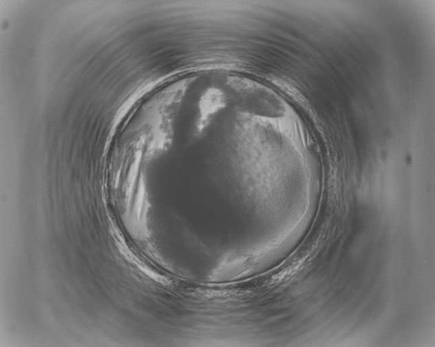 X0000052630941200507221746