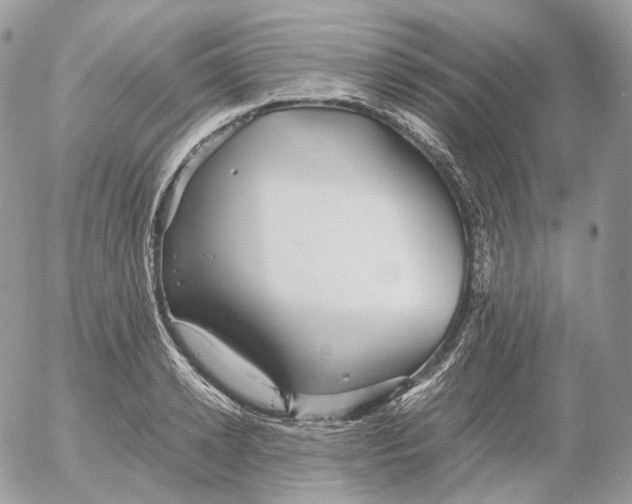 X0000052630942200507221746