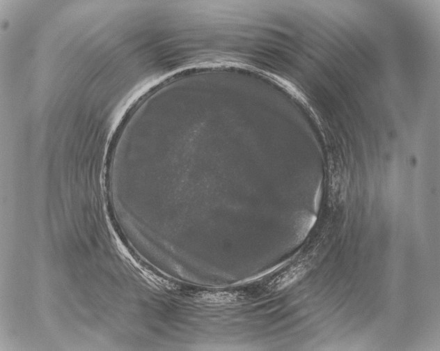 X0000052630943200507221746