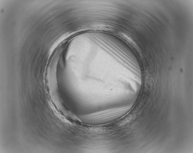 X0000052630944200507221746