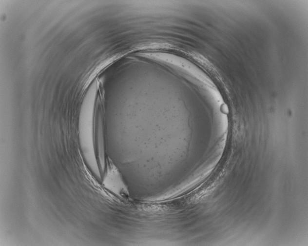 X0000052630945200507221746