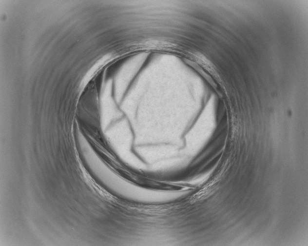 X0000052630946200507221746