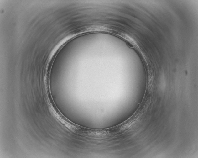 X0000052630947200507221746