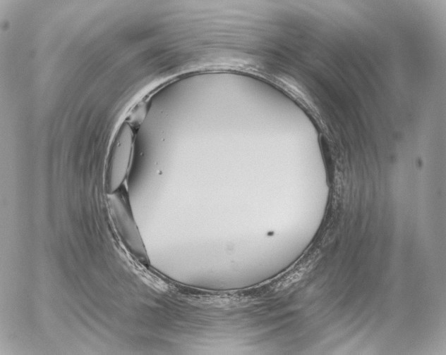 X0000052630948200507221746