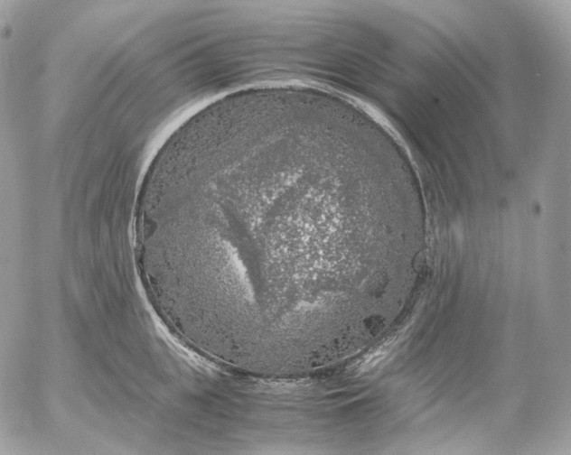 X0000052630951200507221746