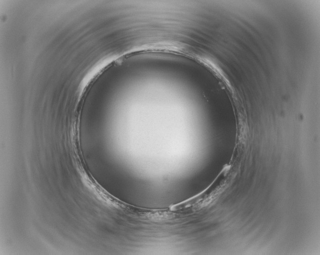 X0000052630952200507221746