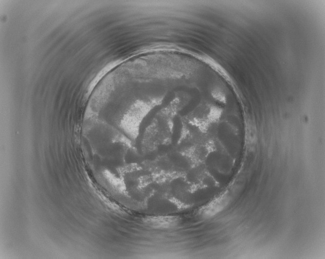 X0000052630953200507221746