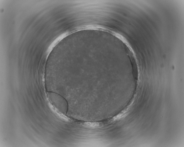 X0000052630954200507221746