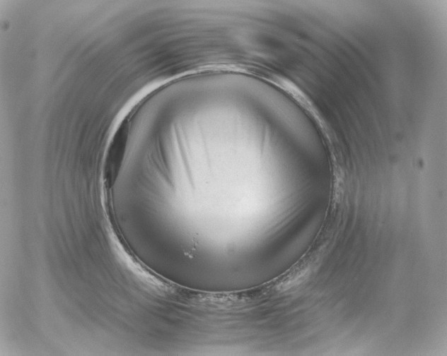 X0000052630955200507221747